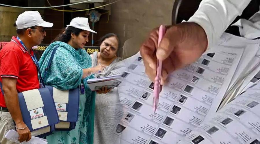 दिल्ली में SIR की ड्राफ्ट वोटर लिस्ट जारी, 47.7 लाख लोगों के नाम हटाए गए