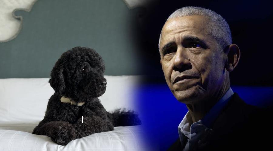 news-banner
