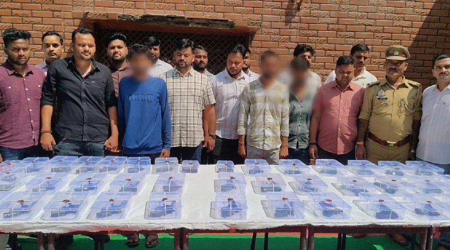 यूपी के गाजीपुर में अवैध हथियार तस्करी का भंडाफोड़, तीन तस्कर गिरफ्तार